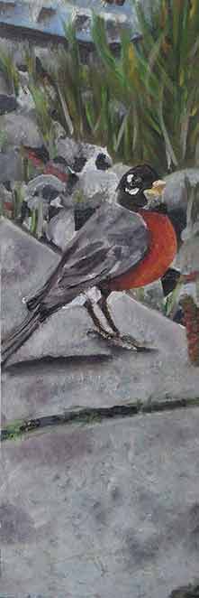 Oil paintings of Birds